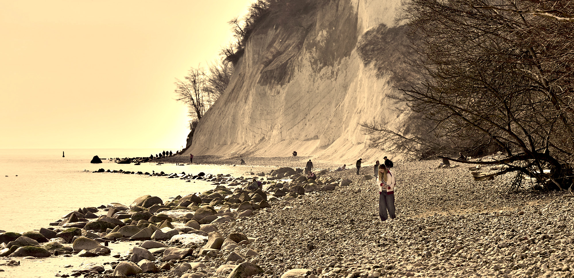 Annelie Neveling Elements of Animal